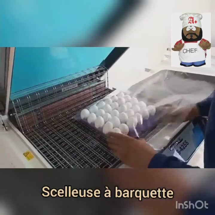 SCELLEUSE-A-BARQUETTES